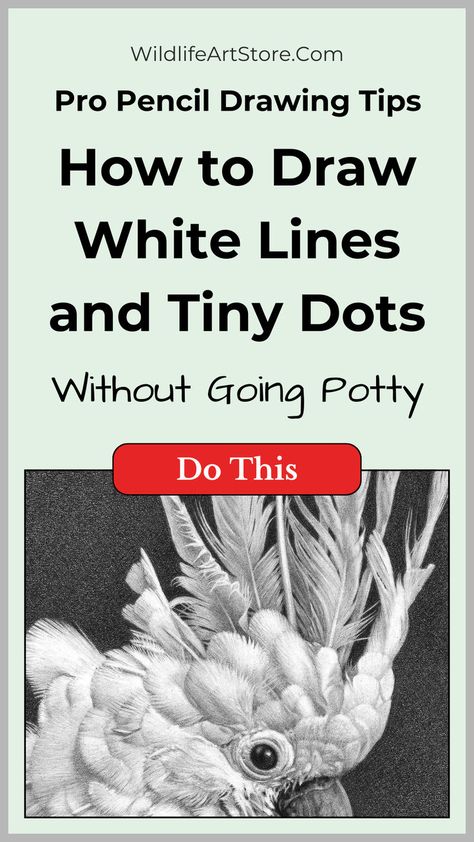 realistic Drawing Tips: How to Draw White Lines and Tiny Dots Dotted Paper Drawing Ideas, Realistic Drawing Tips, Practical Drawing, Drawing Tips And Tricks, Pointilism Art, Eyelash Tutorial, Drawings On Lined Paper, Pencil Drawing Techniques, Drawing Methods