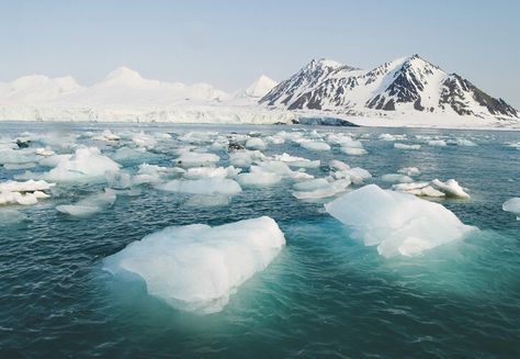 The Arctic biome Arctic Mermaid, Arctic Cruise, Ice Kingdom, Painting 2023, Arctic Landscape, Pole Nord, Arctic Sea, Sea Ice, Arctic Ocean