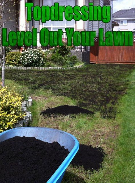 Reseeding Lawn, Lawn Leveling, Aerate Lawn, Diy Lawn, Lawn Care Tips, Lawn Sprinklers, Quiet Corner, Yard Care, Lawn Edging