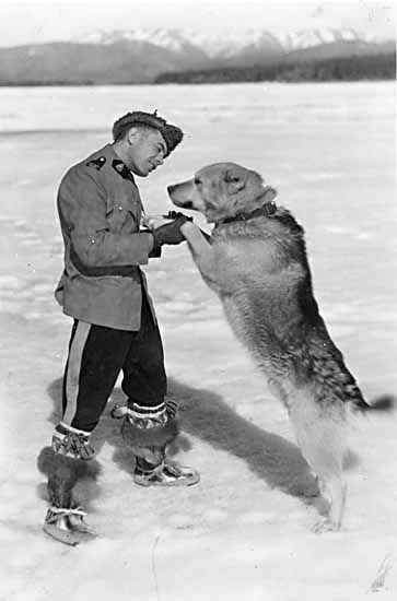 Taken in 1938: This is RCMP officer Joe Kessler and his favourite sled dog at Forty Mile, Yukon... Joe Kessler, Sled Dog, Dog Sledding, Old Dogs, Throwback Thursday, Sled, Husky, Tourism, Historical Figures