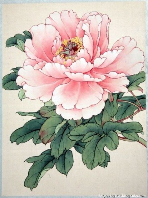 asian peony wallpaper - - Image Search Results Fleurs Art Nouveau, Peony Illustration, Peony Art, Peony Wallpaper, Peony Painting, Plant Drawing, Japanese Flowers, Japanese Painting, Arte Floral