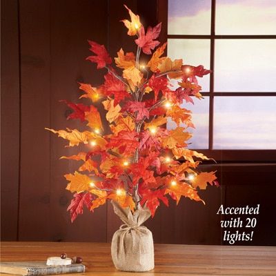 Lighted Harvest Tabletop Tree Maple Leaf Tree, Outside Fall Decor, Color And Light, Dollar Tree Fall, Thanksgiving Decorations Diy, Fall Deco, Fall Thanksgiving Decor, Thanksgiving Centerpieces, Collections Etc