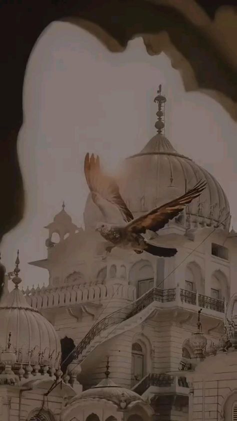 Waheguru Videos, Gurudwara Sahib Wallpaper, Temple Wallpaper, Golden Temple Wallpaper, Birthday Songs Video, Ek Onkar, Nanak Jayanti, Guru Nanak Wallpaper, Inspirational Lines