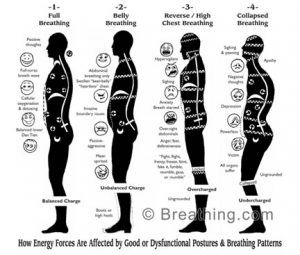 Practicing good posture through the use of breath is helpful.  Belly breathing allows the shoulders to relax and the hips to open.  Check out this blog on beginning meditation! Meditation Posture, Belly Breathing, Diaphragmatic Breathing, Learn To Meditate, Breathing Techniques, Good Posture, Sleeping Positions, Breathing Exercises, Pranayama