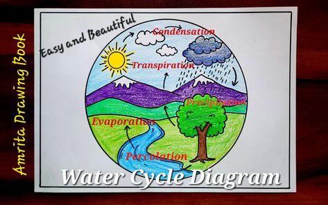 Video Tutorial uploaded on Amrita Drawing Book Channel. Subscribe for more creative Drawings and School Projects #watercycle #School #Projects #watercycledrawing #watercycleproject #activities #simple #veryeasy #stepbystep #competition #amritadrawingbook Easy Water Cycle Drawing, Cycle Drawing Easy, Water Cycle Drawing, Water Cycle Project, Water Cycle Diagram, Cycle Drawing, Project Drawing, Creative Drawings, Draw Easy