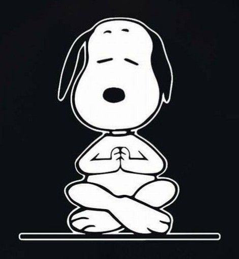 Snoopy Yoga, International Day Of Yoga, Yoga Pics, Yoga Pictures, Daily Holidays, Snoopy Love, Graphic Ideas, International Day, June 21