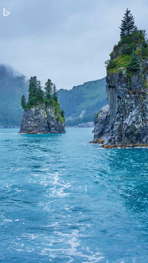 Ilmu Ekonomi, Alaskan Wilderness, Kenai Fjords National Park, Mountain Landscape Photography, Kenai Fjords, The Cove, Jimmy Carter, Mountain Photography, Seascape Paintings