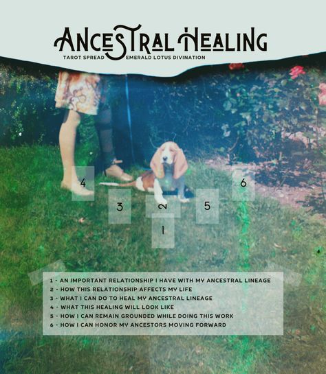 Ancestral Healing Tarot Spread — Emerald Lotus Divination Healing Tarot Spread, Tarot Spreads Layout, Oracle Spreads, Tarot Card Layouts, Ancestral Healing, Oracle Card Spreads, Tarot Reading Spreads, Tarot Cards For Beginners, Learning Tarot Cards