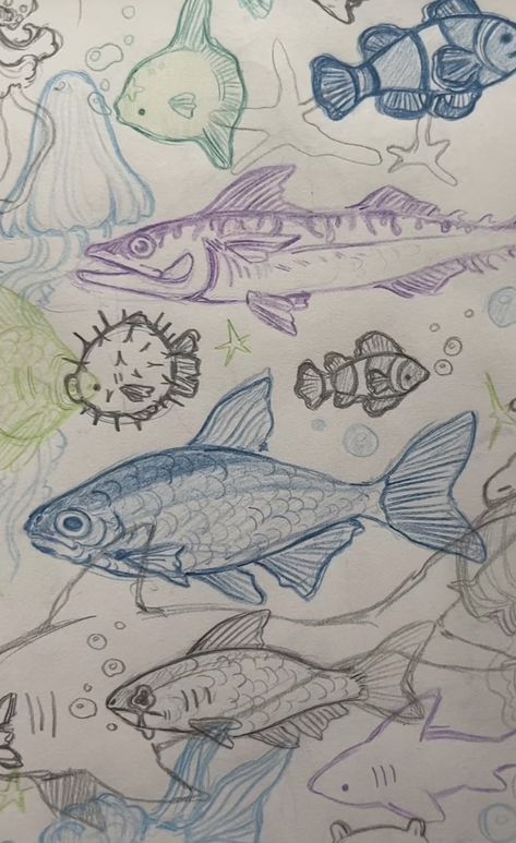 Marine Animal Drawings, Fish Drawings Aesthetic, Fish Aesthetic Drawing, Aesthetic Ocean Animals Drawing, Marine Animals Drawing Aesthetic, Types Of Fish Drawing, Ocean Animal Drawings, Fish Sketch Drawing, Ocean With Fish Drawing