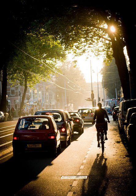 Autumn Lights, Senior Poses, Take Better Photos, City Landscape, Creative Photos, Watercolour Tutorials, Urban Landscape, Art Music, Light And Shadow