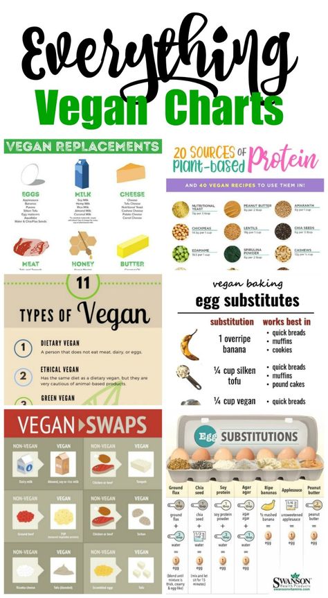 Helpful Vegan Conversions &  Charts - #vegansubstitutions #vegancharts #vegan #howtobecomevegan #vegan Vegan Athlete Meal Plan, Vegan Banana Cookies, Vegan Baking Substitutes, Vegan Iron Sources, Athlete Meal Plan, Types Of Vegans, Famous Vegans, Vegan Egg Substitute, Vegan Substitutes