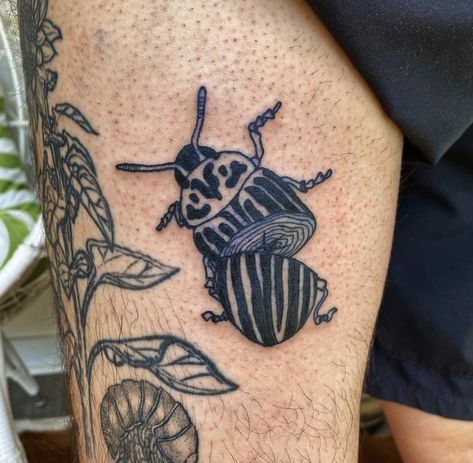 Roly Poly Tattoo, Beetle Tattoo, Funky Tattoos, Piskel Art, Bug Tattoo, Insect Tattoo, Tattoo Portfolio, Jewelry Tattoo, Time Tattoos