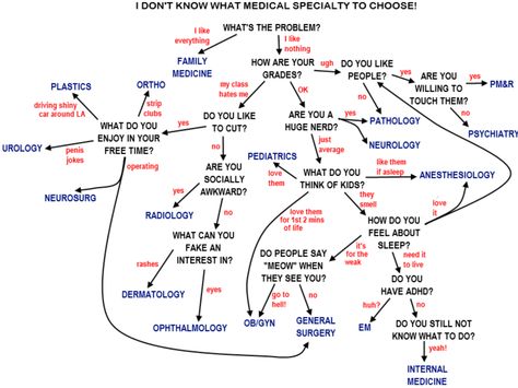 The most sophisticated algorithm to help you choose a medical specialty! Pa School, Medical Specialties, Becoming A Doctor, Student Guide, Future Doctor, Pre Med, Future Jobs, Medical Humor, Med Student