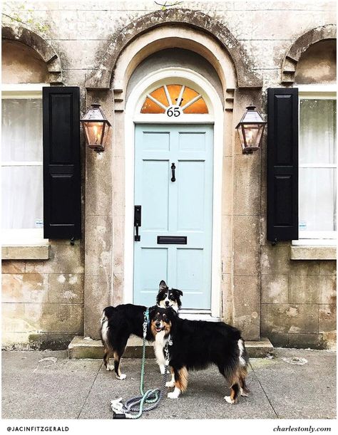 Charleston Style, Beautiful Front Doors, Door Detail, Blue Door, Charleston South Carolina, Instagram Worthy, Front Doors, Painting Tips, The Doors