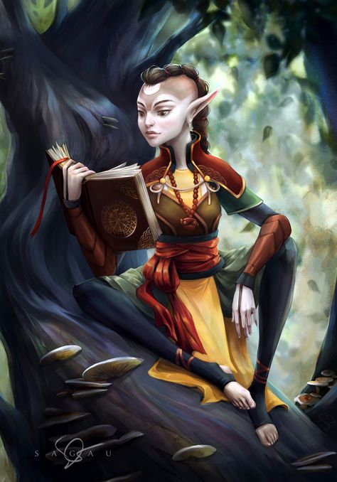 Fantasy Types, Fey Realm, Elf Female, Ancient Book, Female Gnome, Character Female, Elves Fantasy, Elf Art, High Elf