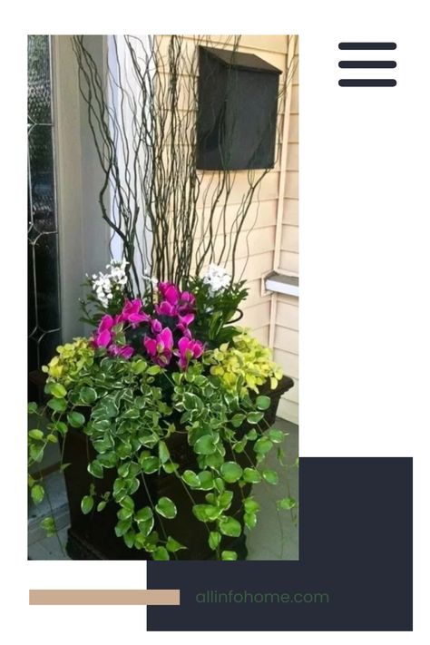 20 Best Winter Planters for Front Porch https://balconygardenweb.com/best-winter-planters-for-front-porch Front Porch Planter Ideas, Front Porch Planter, Porch Planter Ideas, Porch Planter, Front Porch Plants, Front Porch Flowers, Front Porch Planters, Porch Plants, Porch Flowers