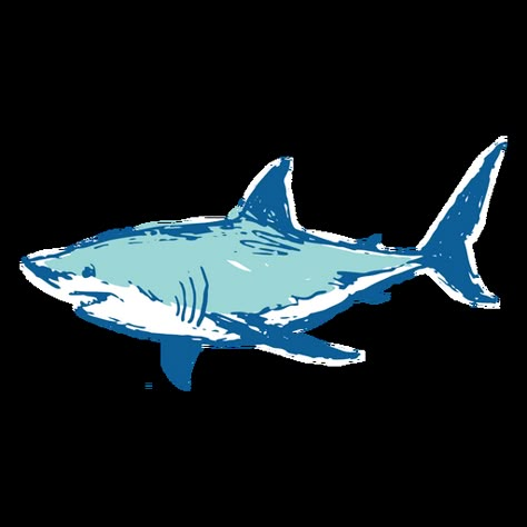 Illustration of blue shark PNG Design Shark T Shirts Design, Graphic Images For Tshirts, Graphic Shirt Design Illustrations, Ocean Logo Design Ideas, Graphic Tees Design Prints Png, Shark Graphic Design, Shark Tshirts, Graphic Tees Design Prints, Shark Png