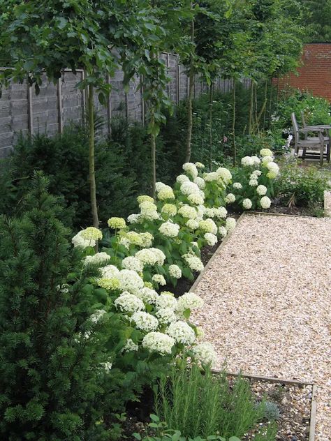 Hydrangea Landscaping, Country Cottage Garden, Small Yard Landscaping, Gravel Path, Hydrangea Garden, Flower Garden Design, Classic Garden, Outdoor Gardens Design, Garden Pathway