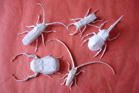 by Shuki Kato Origami Duck, Origami Insects, Origami Artist, Folding Origami, Origami Paper Art, Stag Beetle, Paper Mache Art, Origami Animals, Paper Animals