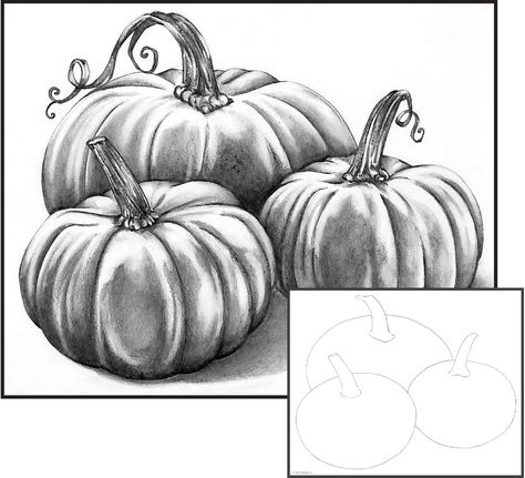 Graphite Pencil: Pumpkin Patch Fall Pencil Drawings, Pumpkin Drawings, Pumpkin Canvas Painting, Drawing Landscapes, Pencil Drawing Pictures, Pumpkin Sketch, Pumpkin Paintings, Beginner Drawing Lessons, Fall Drawings