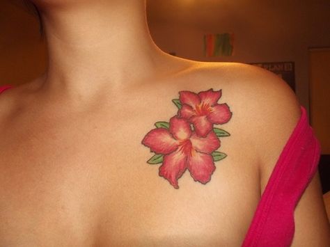 Desert Rose Flower Tattoos Chest, Western Rose Tattoo, Beach Rose Tattoo, Desert Rose Tattoo, Desert Rose Tattoo Flower, Desert Rose Drawing, Desert Rose Meaning, Memorial Tattoos, Dream Tattoos