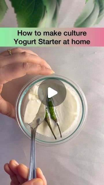 Madhuri Gupta on Instagram: "Yogurt Starter/ Culture yogurt📌   Here I’ll share with you, how to make your own yogurt starter with just 2 ingredients. Try this super simple recipe to make fresh and homemade yogurt.   Ingredients:- 🥛Milk 🥛Fresh green chili with stalk or (red dry chilli with stalk)  Method:- 1. boil the milk and cool it down  2. pour in a small bowl, and Milk should be warm.  3. Add 2 chilies with stalk (make sure the stalks are sunk into the milk) check my reel like that. 4. leave it in a warm place for 10-12 hour or overnight. ( I keep in oven with light on) 5. After 10-12 hour you can use the yogurt starter to make homemade fresh yogurt. !!! Enjoy homemade Organic Yogurt.  Note:- if you make yogurt in instant pot, put the container in the pot and leave it on yogurt mode Make Yogurt In Instant Pot, Yogurt In Instant Pot, Yogurt Starter Culture, Yogurt Starter, Butter Recipes Homemade, Make Your Own Yogurt, Mini Bundt Cakes, Yogurt Maker, Green Chili