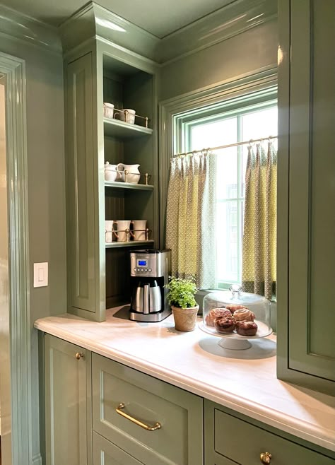 Bar Millwork, Alcove Bar, Scullery Pantry, Jenkins Interiors, Redo House, Emily Clark, Built In Cabinetry, House Design Aesthetic, Potted Boxwood