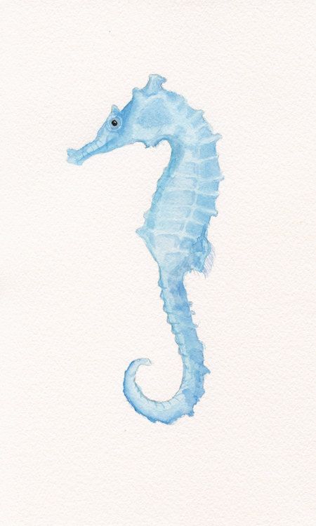 Your Summer Haven Blue Vibe, Blue Seahorse, Creature Marine, Beach Wall Collage, Wal Art, 타이포그래피 포스터 디자인, Keramik Design, Beach Cottage Decor, Beach Cottage