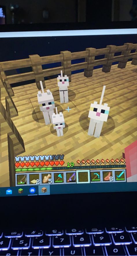 #minecraft #minecraftcat #kittens #cats Minecraft Setup, Mike Core, Minecraft Rp, Playing Minecraft, How To Play Minecraft, Ideas Minecraft, Minecraft Crafts, Minecraft Creations, Game Night