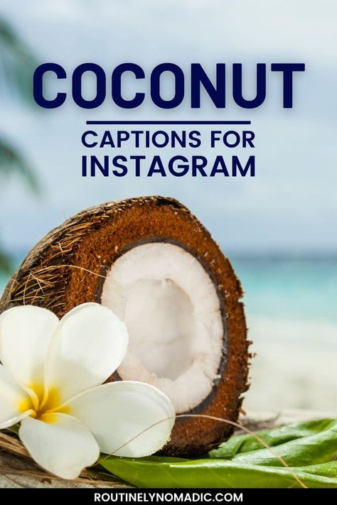 Half a coconut on a beach with words Coconut Captions for Instagram Coconut Quotes, Coconuts Quotes, Water Captions, Beach Drinking, Beach Captions, Tree Quotes, Coconuts Beach, Coconut Drinks, Beach Drinks