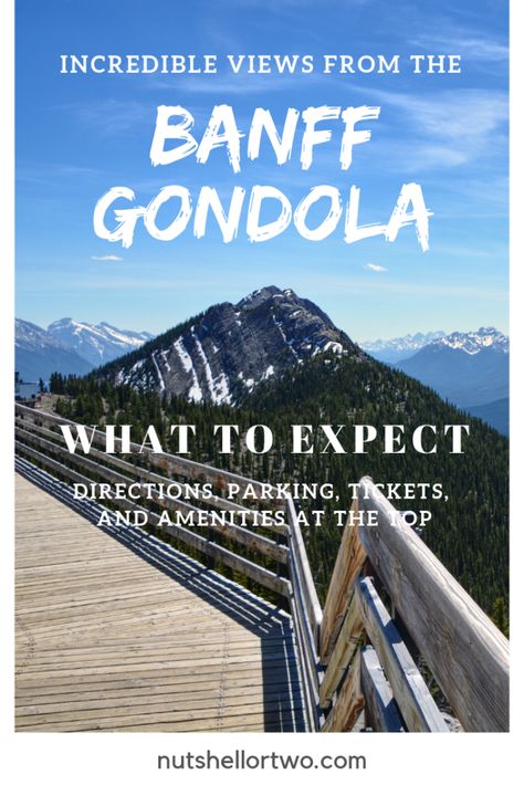 What to Expect Visiting the Banff Gondola | In a Nutshell... or Two Banff Gondola Ride, Banff Hiking, Banff Trip, Banff Gondola, Things To Do In Banff, Alberta Travel, Canada Vacation, Canada Trip, Banff Wedding