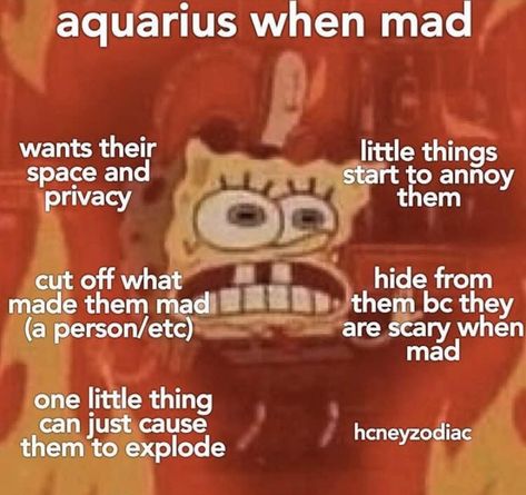 Aquarius Funny, Aquarius Things, Aquarius Personality, Aquarius Aesthetic, Sagittarius Moon, Aquarius Truths, Aquarius Life, Astrology Aquarius, Aquarius Quotes