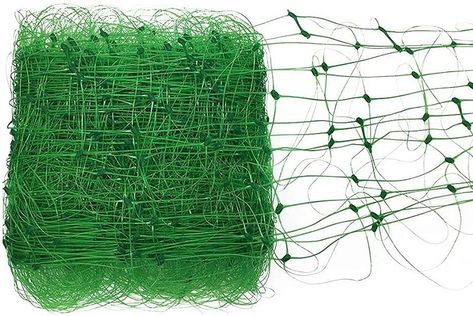 Pea Trellis, Trellis Netting, Vegetables To Grow, Plant Trellis, Garden Netting, Bean Plant, Greenhouse Plants, Plastic Mesh, Trellis Plants