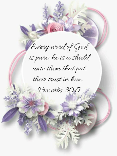 Proverbs 30:5 KJV Bible Verses Kjv, Matthew 5, Bible Quotes Images, Kjv Bible, Daily Verses, Trust In The Lord, Joyce Meyer, Prayer Verses, King James Bible