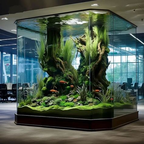 Aquarium Setup Ideas, Aquarium Screensaver, Saltwater Aquarium Setup, Tank Terrarium, Most Pinned, Aquarium Architecture, Fish Aquarium Decorations, Hacks To Try, Custom Aquarium