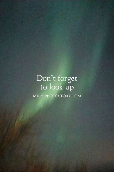 Don't forget to look up Northern Lights In Norway, Polar Lights, Northern Lights Norway, Light Quotes, Visit Iceland, Solar Wind, Tromso, Light Display, Best Location