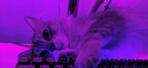 Purple Aesthetic Twitter Banner, Purple Discord Header, Purple Banner 1024 X 576, Twt Header Purple, Twitter Header Photos Purple, Purple Banner Twitter, Twitter Header Purple Aesthetic, Purple Banners Discord, Purple Tumblr Header