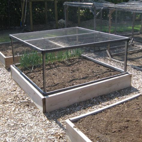 With Fall planting right around the corner, it was time to re-cover my raised bed "defense system". Vegetable Garden Raised Beds, Building A Raised Garden, Fall Vegetables, Garden Area, Fine Gardening, Veg Garden, Backyard Fences, Raised Bed, Garden Pests