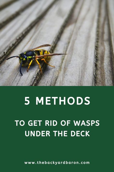 How to Get Rid of Wasps Under The Deck (5 Tips) Wasps Repellent How To Get Rid, Kill Wasps How To Get Rid, Get Rid Of Bees On Deck, How To Get Rid Of Wasps Nest, Get Rid Of Wasps Outside, How To Get Rid Of Bees Outside House, Killing Wasps, Wood Wasp, Wasp Deterrent