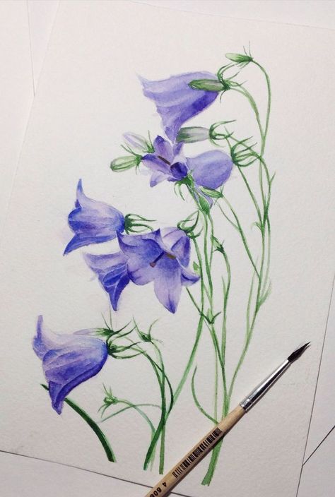 Art Drawings Flowers, Bluebell Tattoo, Blue Bell Flowers, Floral Composition, Flowers Watercolor, 수채화 그림, Watercolor Flowers Paintings, Botanical Painting, Botanical Watercolor