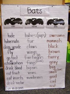 Bats can/ have/ are anchor chart Spider Lessons, Bats Unit, Spider Unit, October School, Tree Map, Thinking Maps, Fall Lessons, Kindergarten Ela, Halloween Preschool