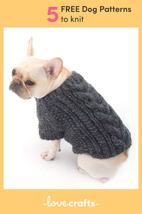 Make sure your dog looks dapper and stays warm whatever the weather with these 5 FREE adorable dog sweater knitting patterns! Knitting Patterns For Dogs, Knitted Dog Sweater Pattern, Kat Haken, Knitting Patterns Free Dog, Dog Patterns, Dog Sweater Pattern, Bulldog Francese, Crochet Dog Sweater, Lion Brand Wool Ease