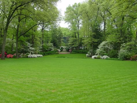 Mansion Backyard Garden, Huge Backyard Garden, Big Garden Design Landscaping, Big Back Garden, Dream Garden Modern, Large Garden Landscaping, House With Big Garden, Large Garden Design, Natural Landscape Design