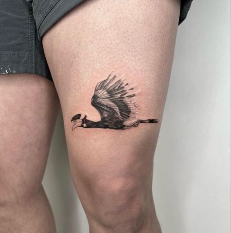 Hornbill Tattoo, Friend Tats, Jack In The Pulpit, Tattoo Parlor, Jack And Jack, Tattoo Parlors, Pet Portraits, Cool Tattoos, Tatting