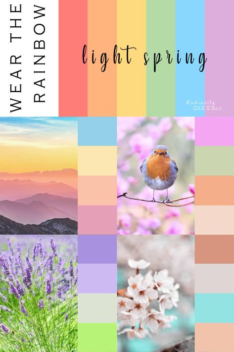 Color Palette Capsule Wardrobe, Radiantly Dressed, Light Spring Palette, Light Spring Color Palette, Wardrobe Colors, Light Spring Colors, Diy Curtain, True Spring, Spring Palette