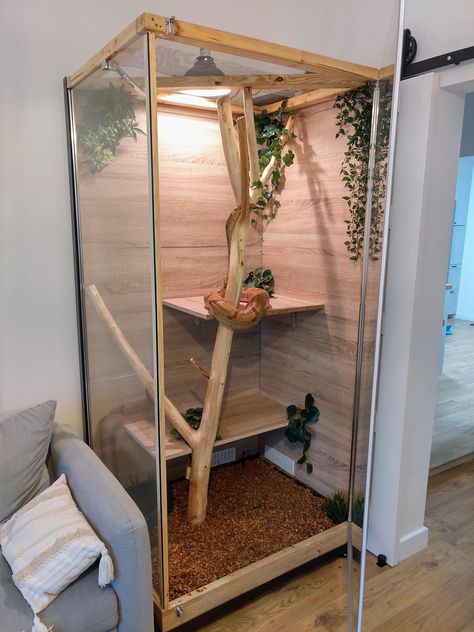 Cool Snake Enclosure Ideas, Tall Reptile Enclosure, Built In Snake Enclosure, Diy Large Snake Enclosure, Diy Python Enclosure, Vertical Snake Enclosure, Pvc Snake Enclosure, Diy Snake Terrarium, Reptile Room Ideas Snake Cages