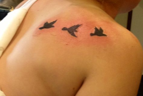 Love my tattoo! Back Shoulder Tattoos For Women, Back Shoulder Tattoos, Small Bird Tattoo, Street Tattoo, Shoulder Tattoos, Shoulder Tattoos For Women, Dark And Twisted, Botanical Beauty, Birds Tattoo