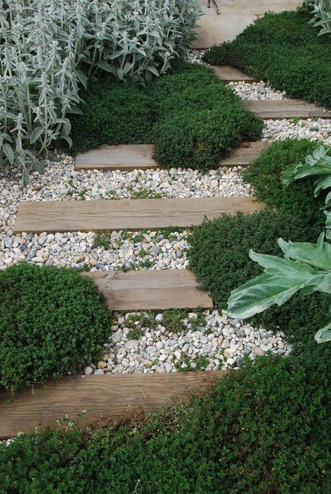 Walkways Ideas, Backyard Walkway, Garden Stepping Stones, Plants Growing, Landscape Products, Gravel Garden, Stone Walkway, Garden Walkway, Rock Garden Landscaping