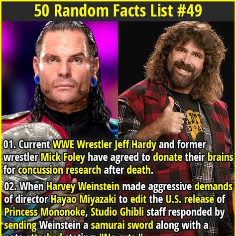 Wolverine Frog, Wwe Facts, Wrestling Quotes, Mick Foley, Fact Republic, Creepy Facts, Jeff Hardy, Crazy Facts, Harvey Weinstein