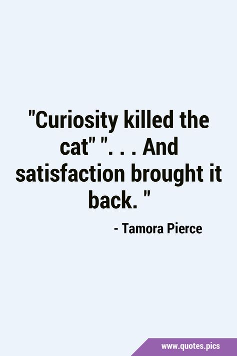 'Curiosity killed the cat' '...and satisfaction brought it back.' #Curiosity #Cats Quotes Curiosity, Coraline Cat Quotes, Curiosity Aesthetic Quotes, Fiction Meaning, Cat Therapy Quotes, Curiosity Killed The Cat, Bring Back, Fishing Quotes, Senior Quotes